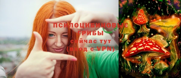 эйфоретик Балахна