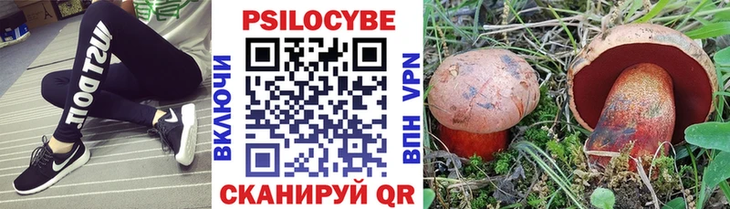 Галлюциногенные грибы Cubensis  Невель 